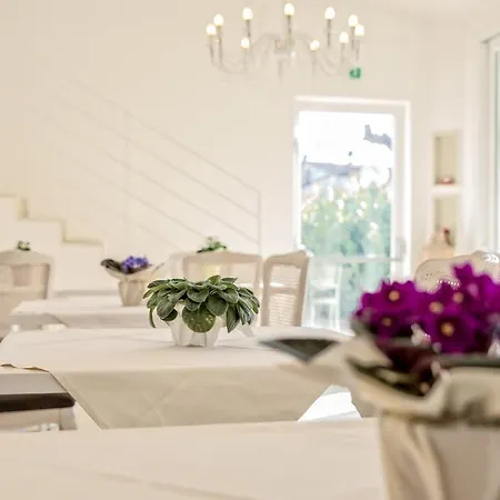 La Radice Hotel Civitanova Marche